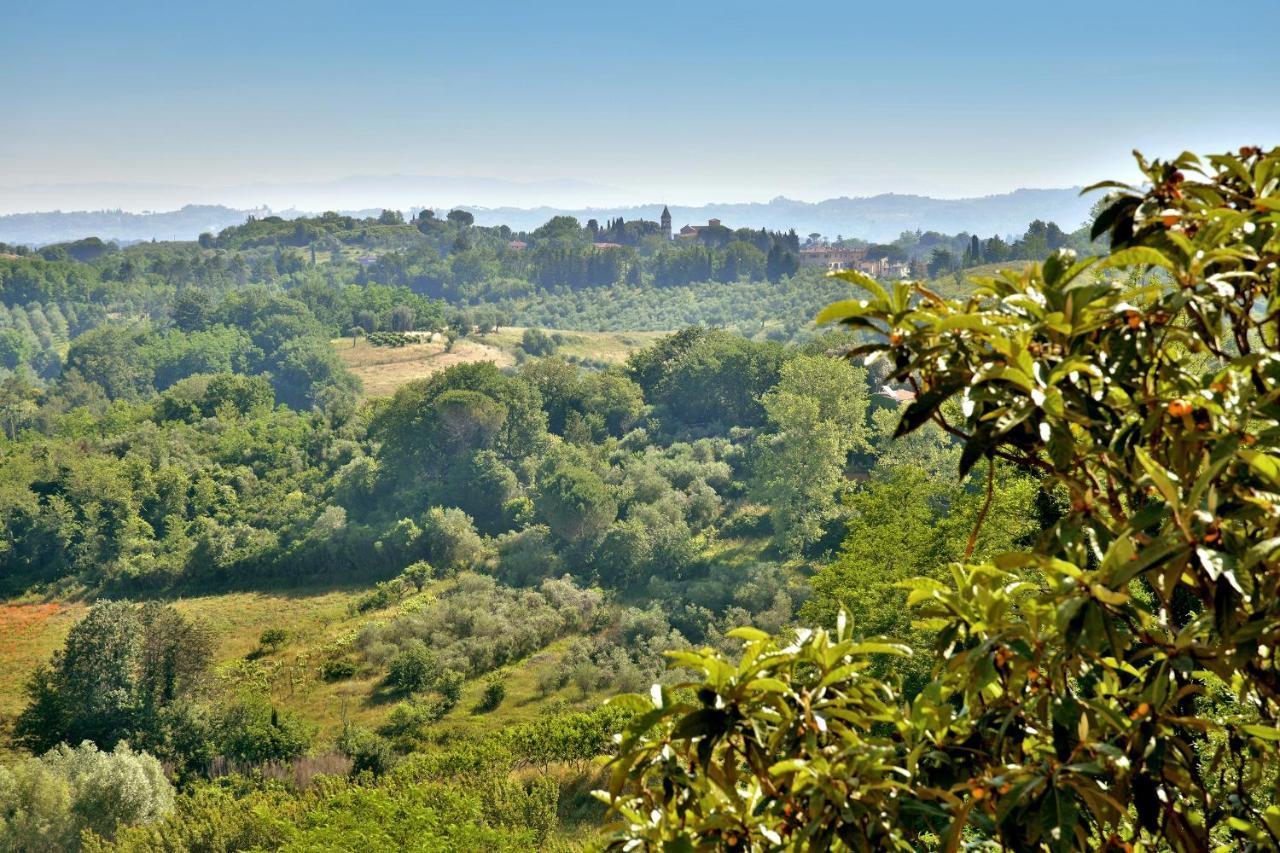 Villa Carlotta Con Piscina Lari ภายนอก รูปภาพ